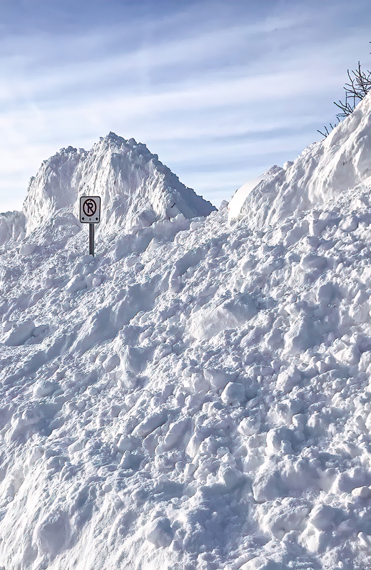 No Parking by Liz Hextall